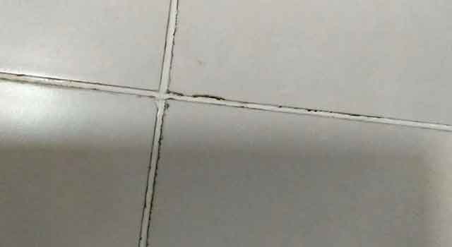 瓷磚不做美縫，導(dǎo)致黑邊效果